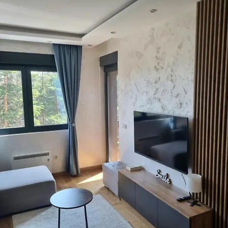 Vila Pekovic Blue A17 Sa Garazom-Zlatibor Exterior photo